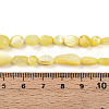Natural White Shell Beads Strands SHEL-N036-21H-4