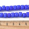 Handmade Lampwork Beads Strands LAMP-I030-02B-4