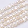 Natural Cultured Freshwater Pearl Beads Strands PEAR-P002-42-1
