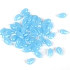 5Pcs Transparent Glass Beads GLAA-PW0001-25L-1