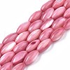 Natural Freshwater Shell Beads SHEL-R047-02D-1