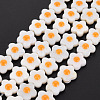 Natural Freshwater Shell Beads Strands with Enamel SHEL-T018-29B-1