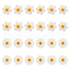 24Pcs 2 Styles Natural Freshwater Shell Beads SHEL-HS0001-05-1