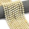 Natural Fossil Beads Strands G-P573-A42-01-1