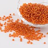 8/0 Glass Seed Beads X-SEED-A005-3mm-29B-1