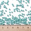 TOHO Round Seed Beads SEED-XTR08-0413F-4