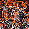 SOFPLATE 3 Sets 3 Colors Halloween Themed Paper Shredded Paper Filler OCOR-SP0001-06B-1