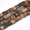 Natural Picasso Jasper/Polychrome Jasper Beads Strands G-N346-05A-03-2