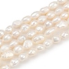Natural Cultured Freshwater Pearl Beads Strands PEAR-P064-20G-03A-2