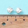 925 Sterling Silver Charms STER-H106-01A-S-4