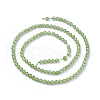 Natural Peridot Beads Strands G-F619-06-2mm-2