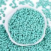 Baking Paint Glass Seed Beads SEED-K010-A19-3