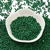 Baking Paint Glass Seed Beads SEED-S042-05B-66-2