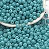 Opaque Colours Glass Seed Beads SEED-C001-02B-16-1