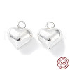 925 Sterling Silver Charms STER-H106-01A-S-1