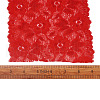 Stretch Elastic Lace Trim OCOR-TAC0006-02H-6