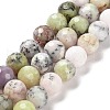 Natural African Opal Beads Strands G-K345-A03-03-1