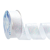 18M Iridescent Polyester Ribbon OCOR-WH0097-10A-1