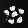 Natural Spiral Shell Pendants X-SHEL-N036-11-1