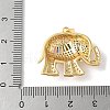Brass Micro Pave Colorful Cubic Zirconia Pendants ZIRC-I071-01G-01-3