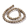 Natural Maifanite/Maifan Stone Beads Strands G-I187-10mm-01-8