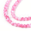 Dyed Natural Trochid Shell/Trochus Shell Beads Strands SSHEL-T017-13E-3