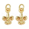 Brass Pendants KK-L231-09G-1