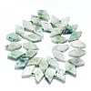 Natural Seaame Jasper Beads Strands G-K245-E06-01-2
