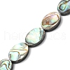 Natural Paua Shell Beads Strands SHEL-F006-06-1