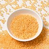 12/0 Transparent Glass Seed Beads X-SEED-F003-03C-01-2