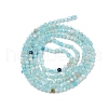 Natural Amazonite Beads Strands G-G189-D05-01-3