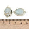 Natural Amazonite Faceted Connector Charms G-K347-11G-18-3