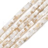 Natural Freshwater Shell Beads Strands SSHEL-C013-04A-1