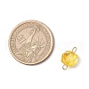 Transparent Acrylic Connector Charms PALLOY-JF03680-02-2