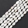 Natural Freshwater Shell Beads Strands BSHE-E028-03-1