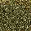 TOHO Round Seed Beads SEED-TR11-0991-2