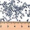 12/0 Glass Seed Beads SEED-XCP0001-20-4