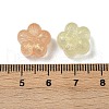 Luminous Transparent Acrylic Beads OACR-B031-14-5