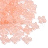 Frosted Transparent Acrylic Beads OACR-P029-09B-02-2