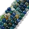 Faceted Natural Agate Beads Strands G-F447-8mm-C10A-1