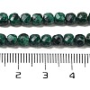 Natural Malachite Beads Strands G-H042-A50-02-5