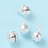 925 Sterling Silver Pendants STER-E067-01S-1