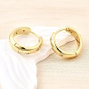 Brass Micro Pave Clear Cubic Zirconia Hoop Earrings EJEW-Z121-01G-3