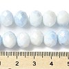 Electroplate Handmade Lampwork Beads Strands LAMP-S068-11I-4