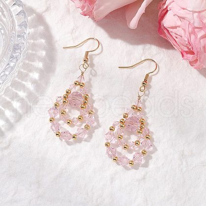 304 Stainless Steel Dangle Earrings EJEW-JE06368-04-1