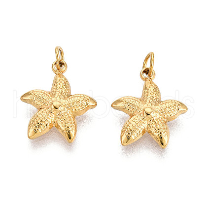 304 Stainless Steel Charms STAS-N115-07G-1