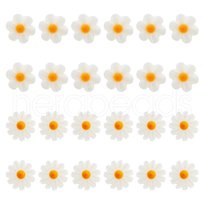 24Pcs 2 Styles Natural Freshwater Shell Beads SHEL-HS0001-05-1