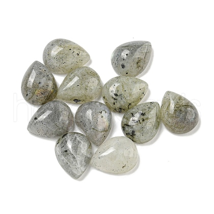 Natural Labradorite Cabochons G-Q173-02C-07-1