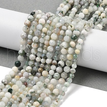 Natural Tree Agate Beads Strands G-RM250104-D6-1