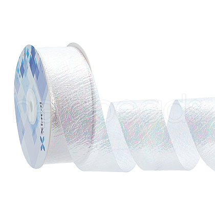 18M Iridescent Polyester Ribbon OCOR-WH0097-10A-1